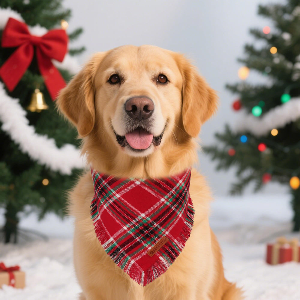 ADOGGYGO size guide for large dog bandana up to 16 inches.