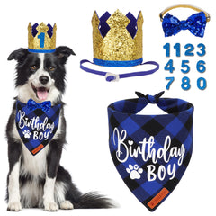 ADOGGYGO dog birthday hat with numbers for festive photo moments