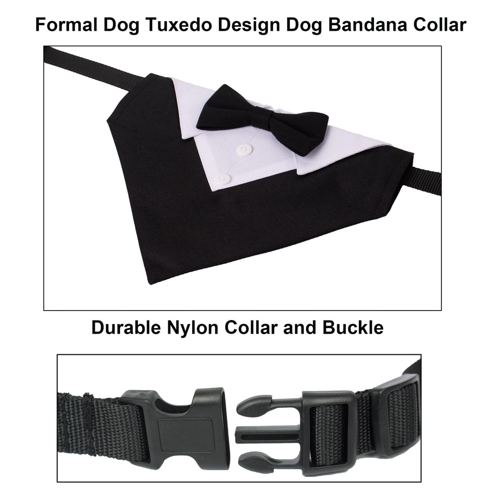 ADOGGYGO tuxedo-style collar with D-ring for leash-ready outings