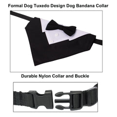 ADOGGYGO tuxedo-style collar with D-ring for leash-ready outings
