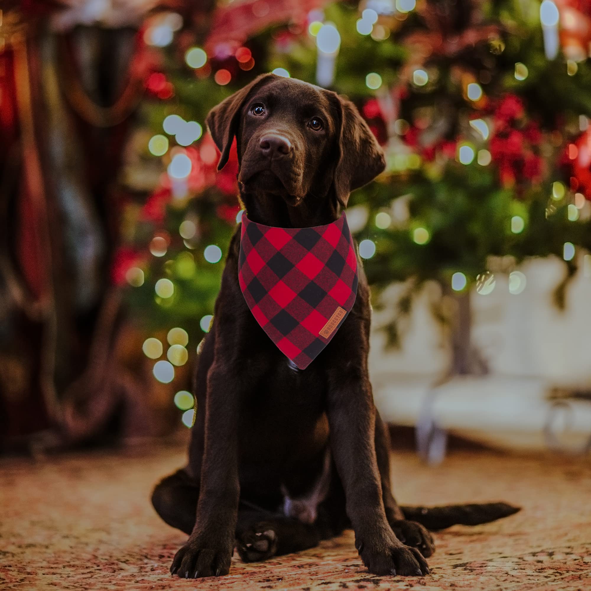 ADOGGYGO dog wearing bandana great gift-ready festive apparel