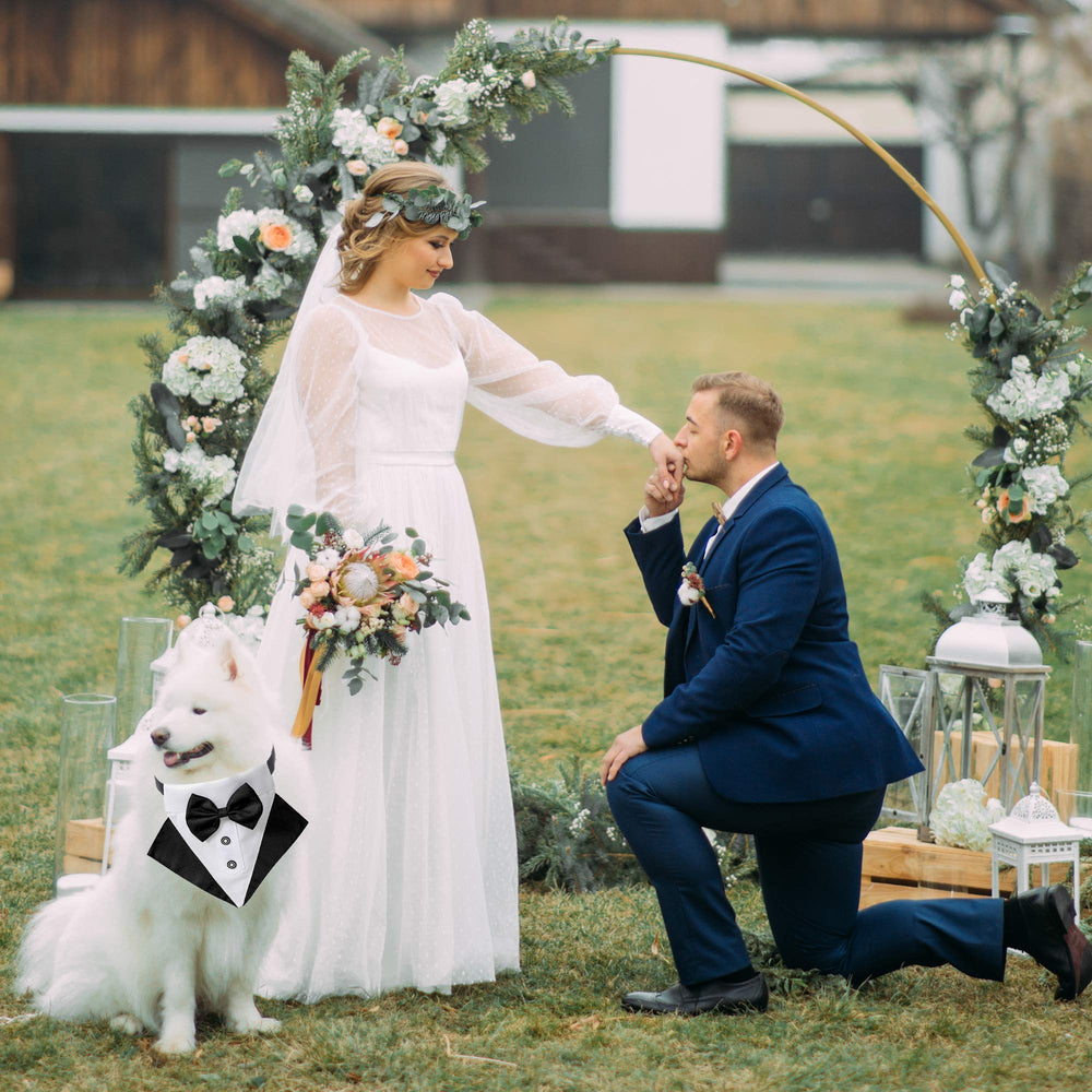ADOGGYGO easy-on buckle simplifies dressing and leash attachment.