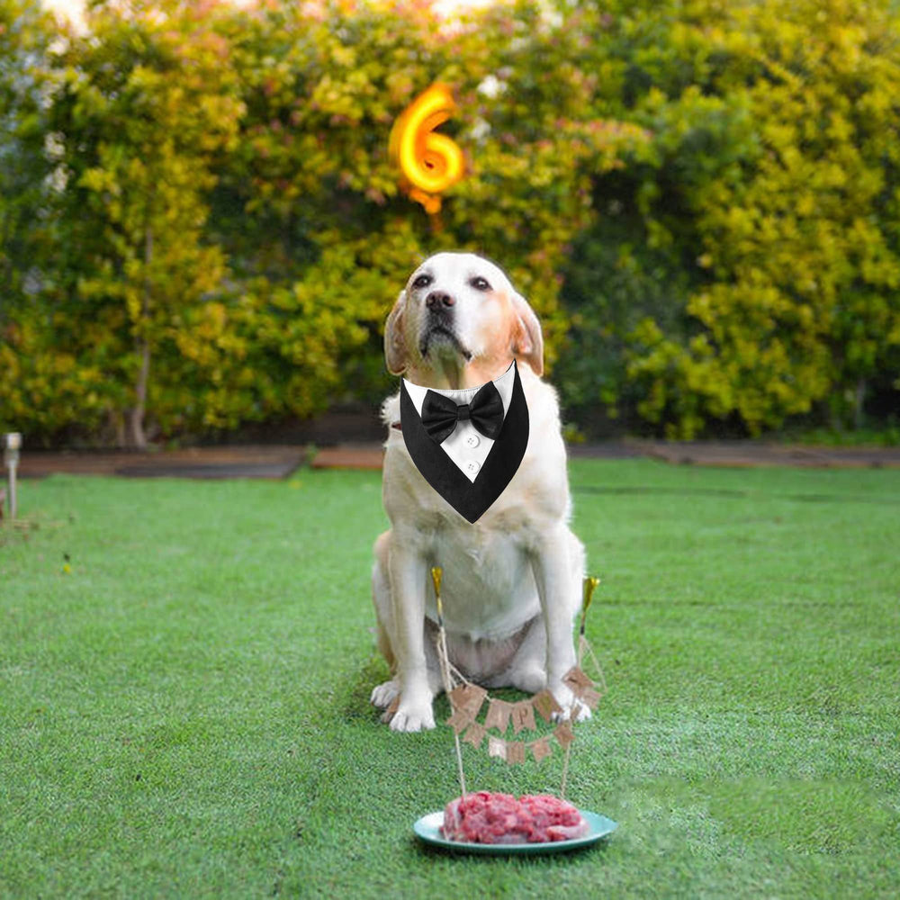 ADOGGYGO easy-on tuxedo with hook-and-loop fastener simplifies dressing.