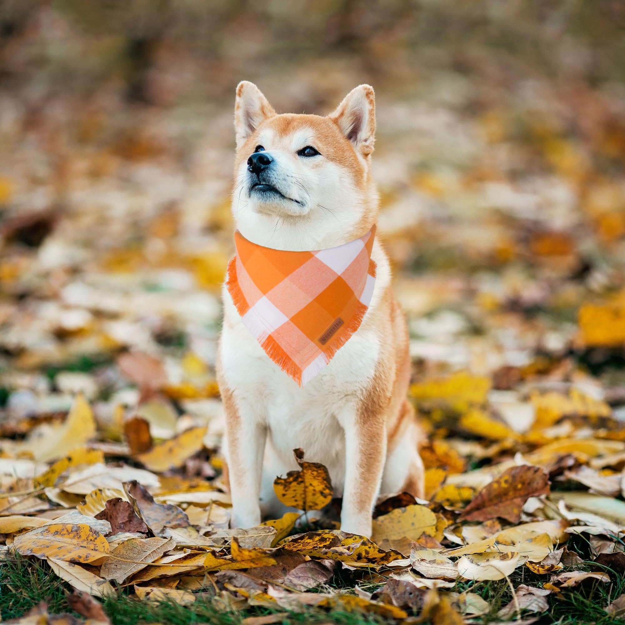 ADOGGYGO orange plaid bandana close-up shows soft cotton fabric for comfort.