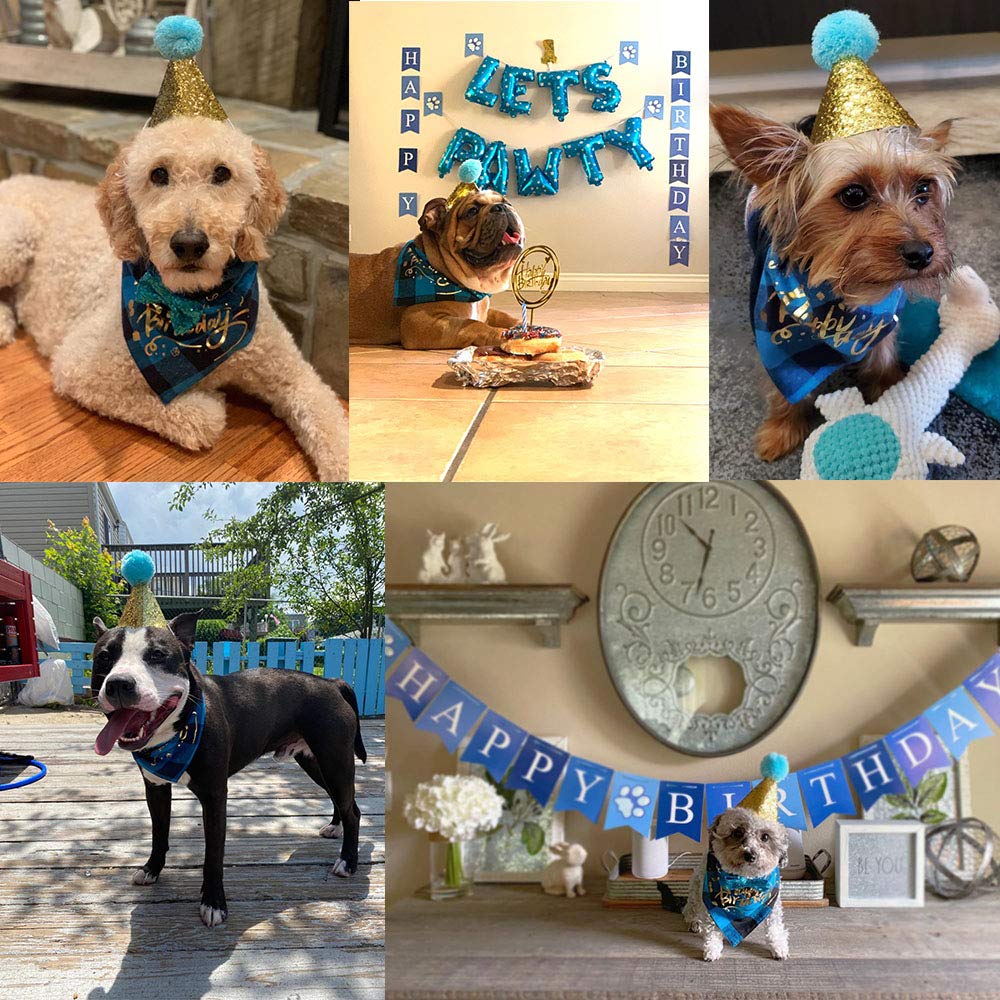 ADOGGYGO golden birthday scarf enhances the party look and photos