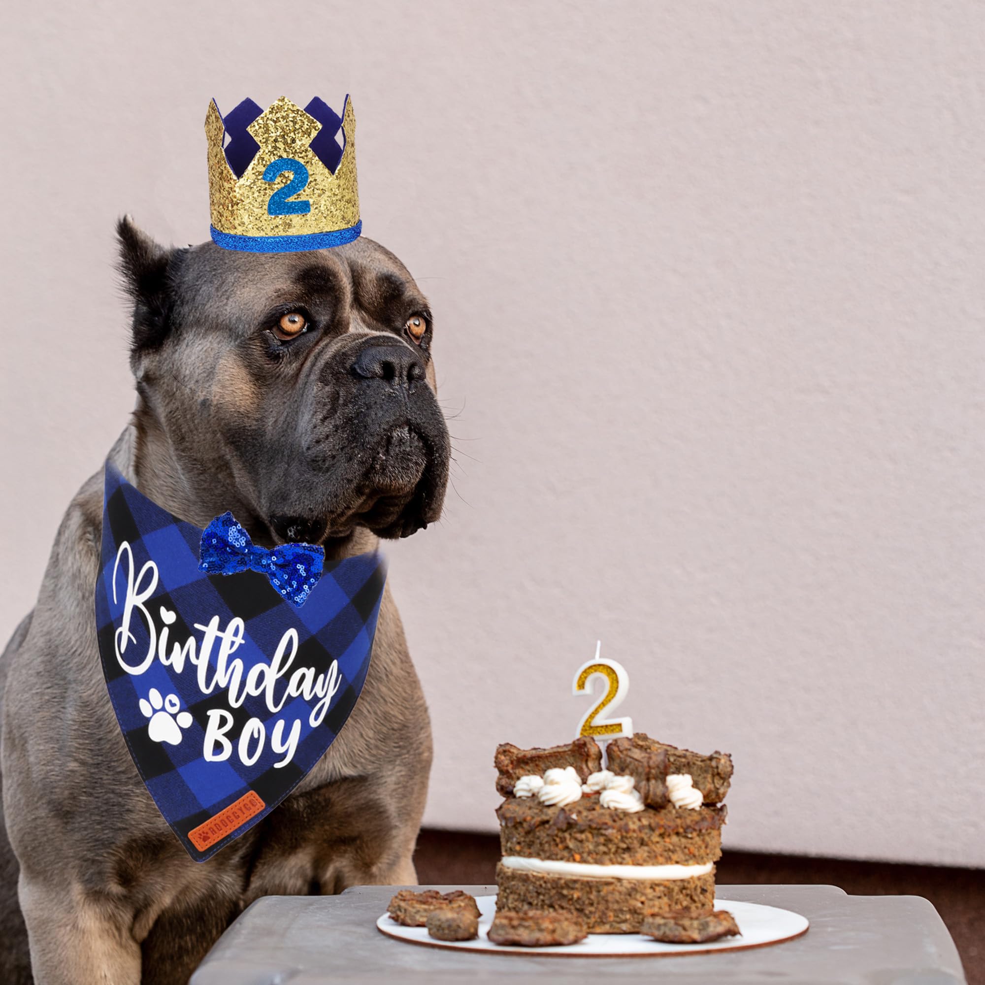 ADOGGYGO golden dog crown adds regal flair for celebrations