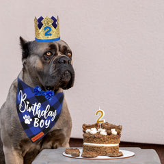 ADOGGYGO golden dog crown adds regal flair for celebrations