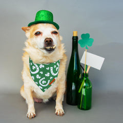 ADOGGYGO green shamrock pattern closeup highlights playful festival vibes