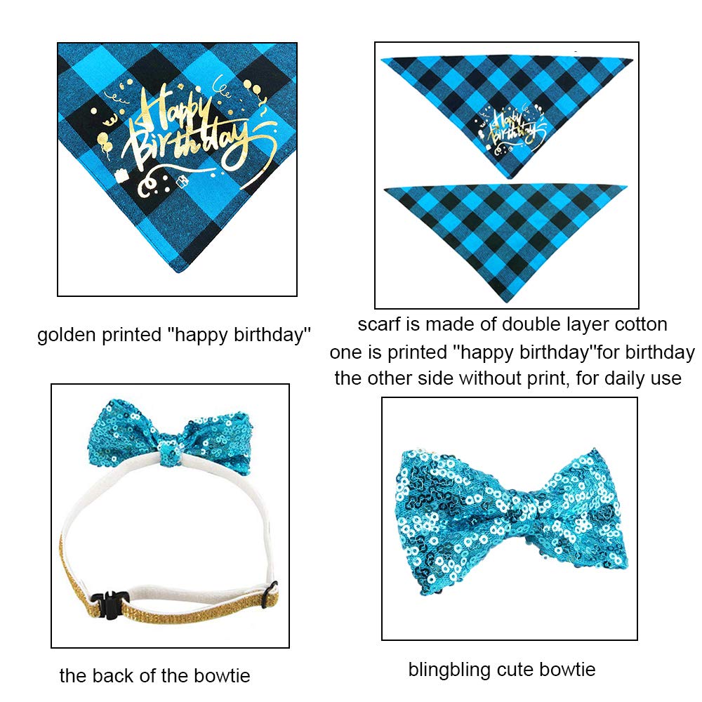 ADOGGYGO happy birthday banner decorates the pup's party backdrop