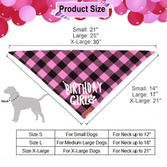 ADOGGYGO crown with numbered details shows age options and customization.