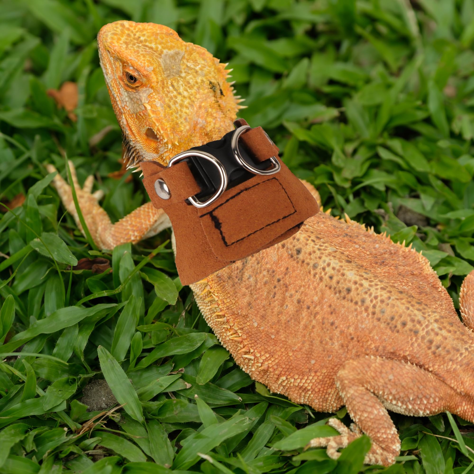 ADOGGYGO Lizard Harness 3-size pack closeup highlights soft leather and adjustable fit.