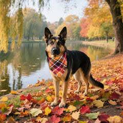 ADOGGYGO orange plaid bandana dog wear, cozy autumn accessory for outings