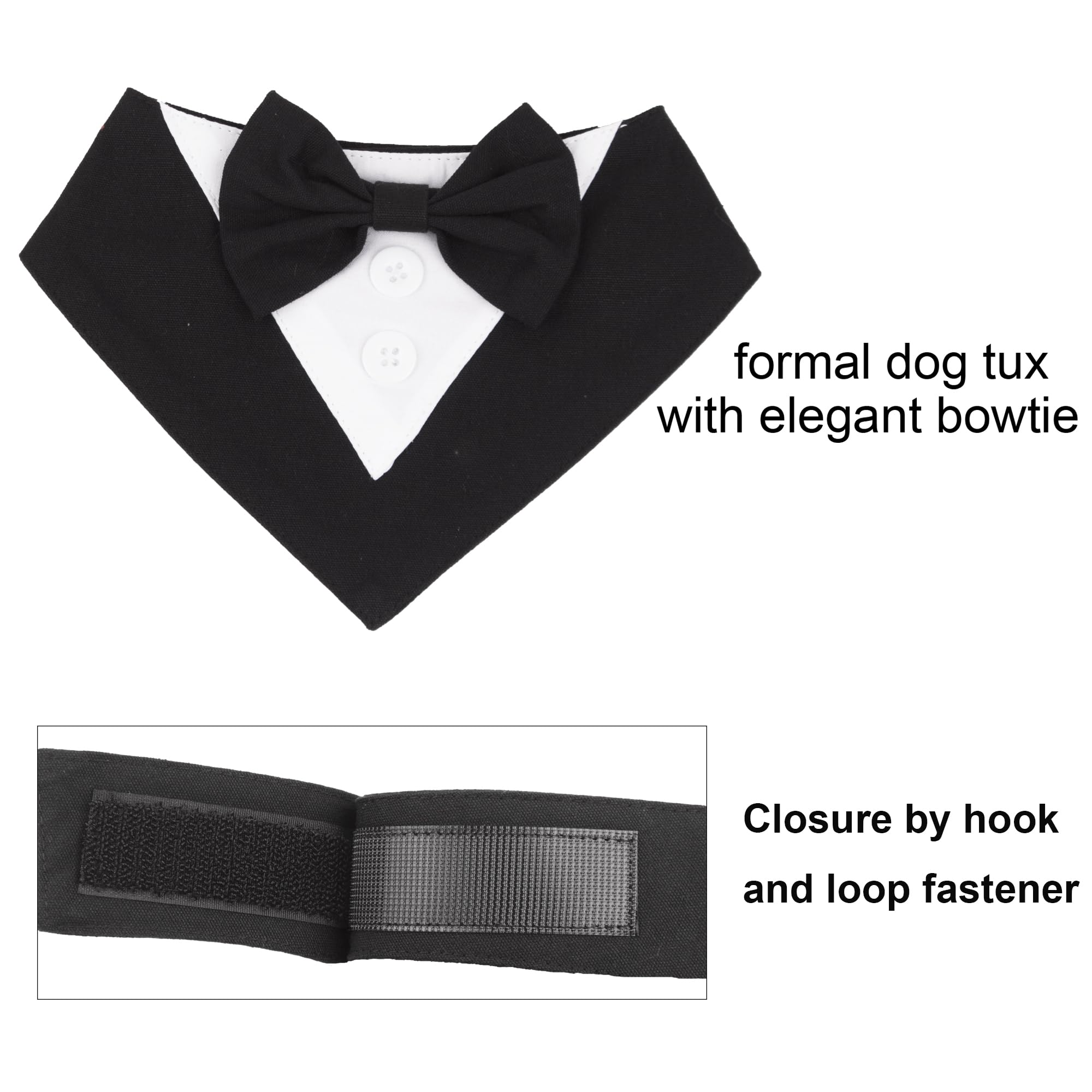 ADOGGYGO wedding-ready package includes tuxedo bandana for classy celebrations.