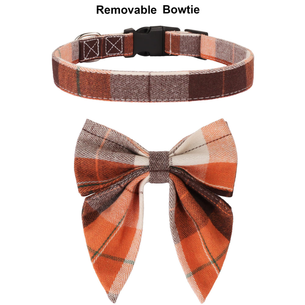 ADOGGYGO packaged fall collar ready as a gift for dog lovers.