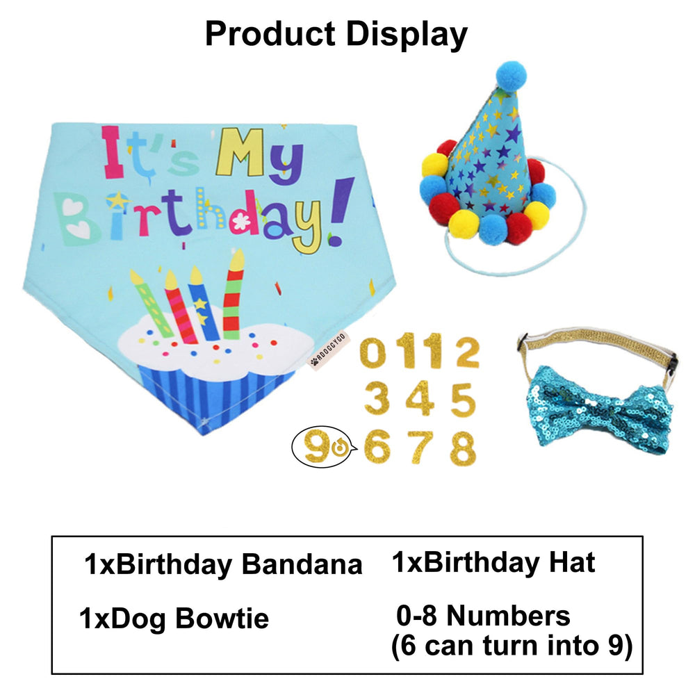 ADOGGYGO photo-ready dog outfit—perfect for memorable birthday moments.