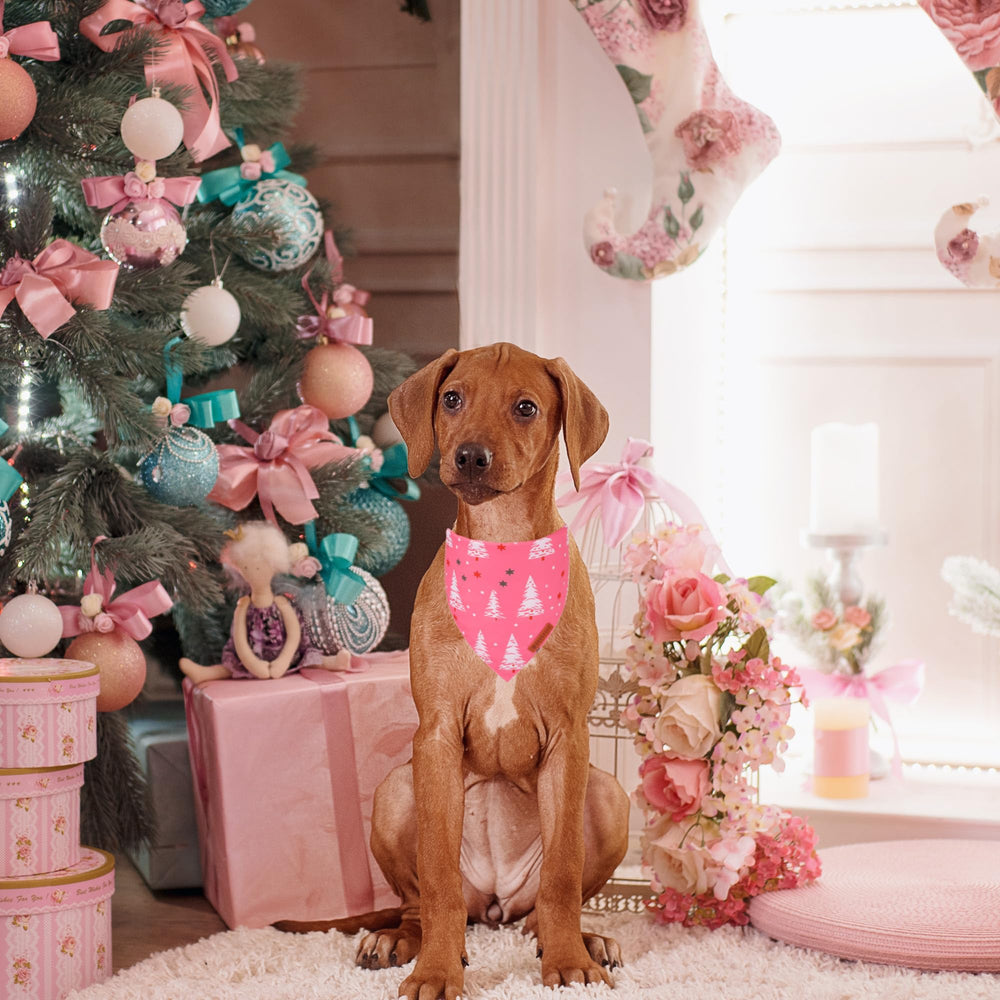 ADOGGYGO Adjustable‑fit pink bandana ensuring comfortable wear for larger dogs.