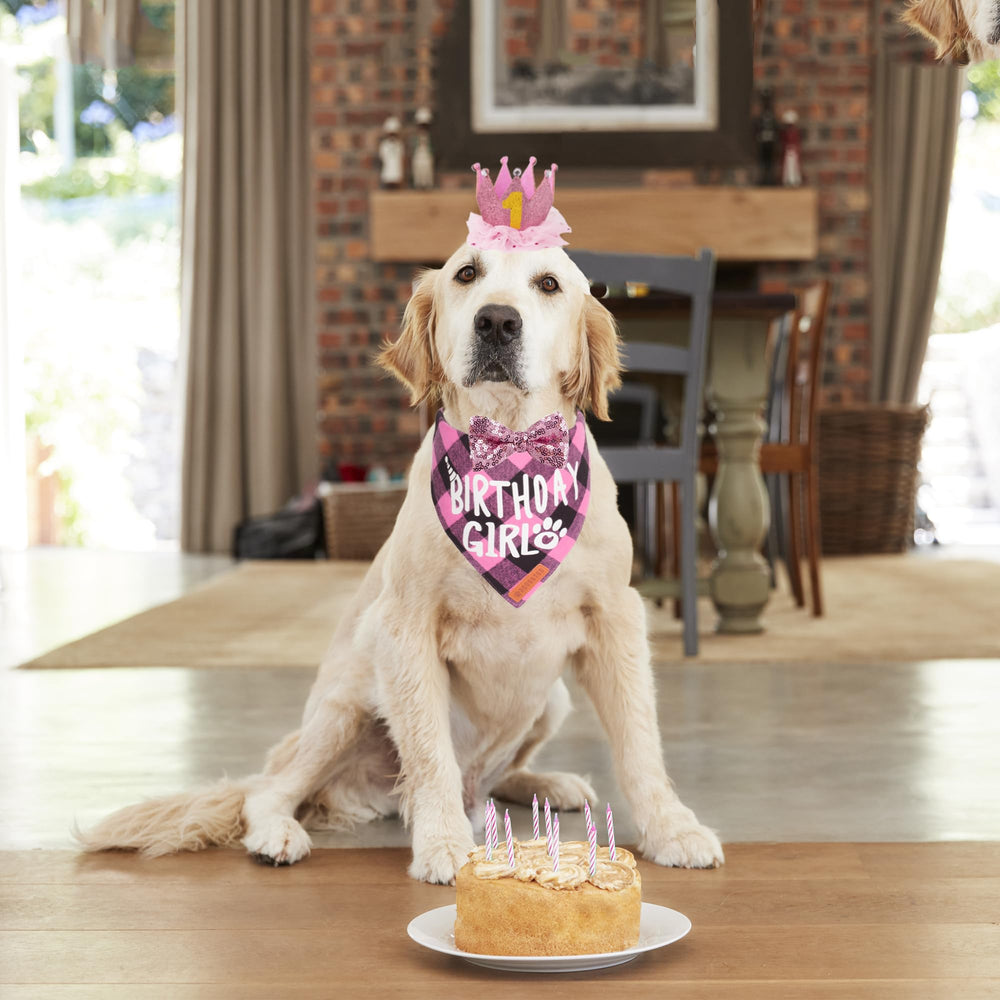 ADOGGYGO pink birthday bandana on dog highlighting soft cotton comfort.