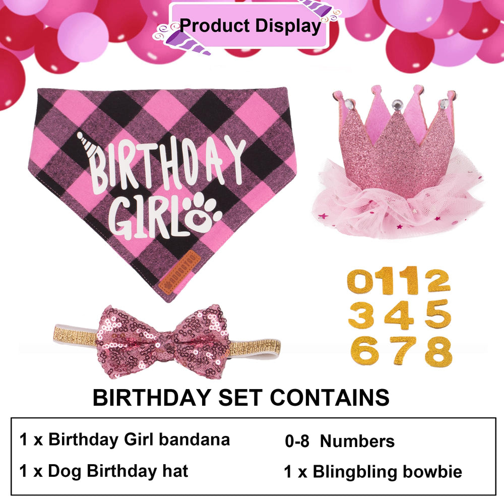 ADOGGYGO pink birthday hat with removable numbers for age customization.