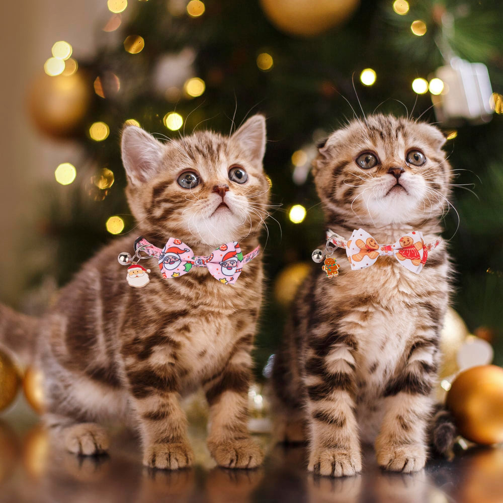 ADOGGYGO pink christmas cat collar gingerbread-man pattern adds playful charm.