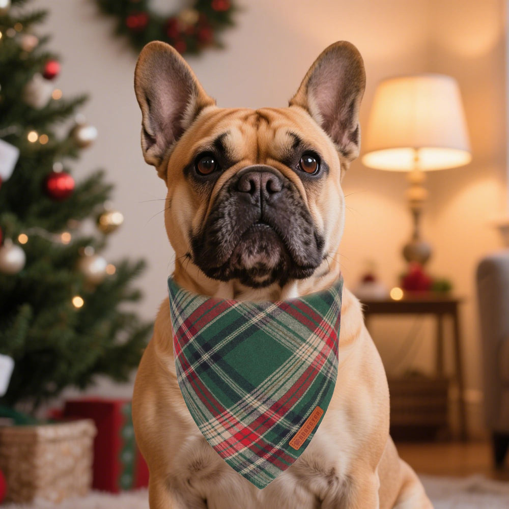 ADOGGYGO premium cotton bandana close-up shows soft breathable fabric