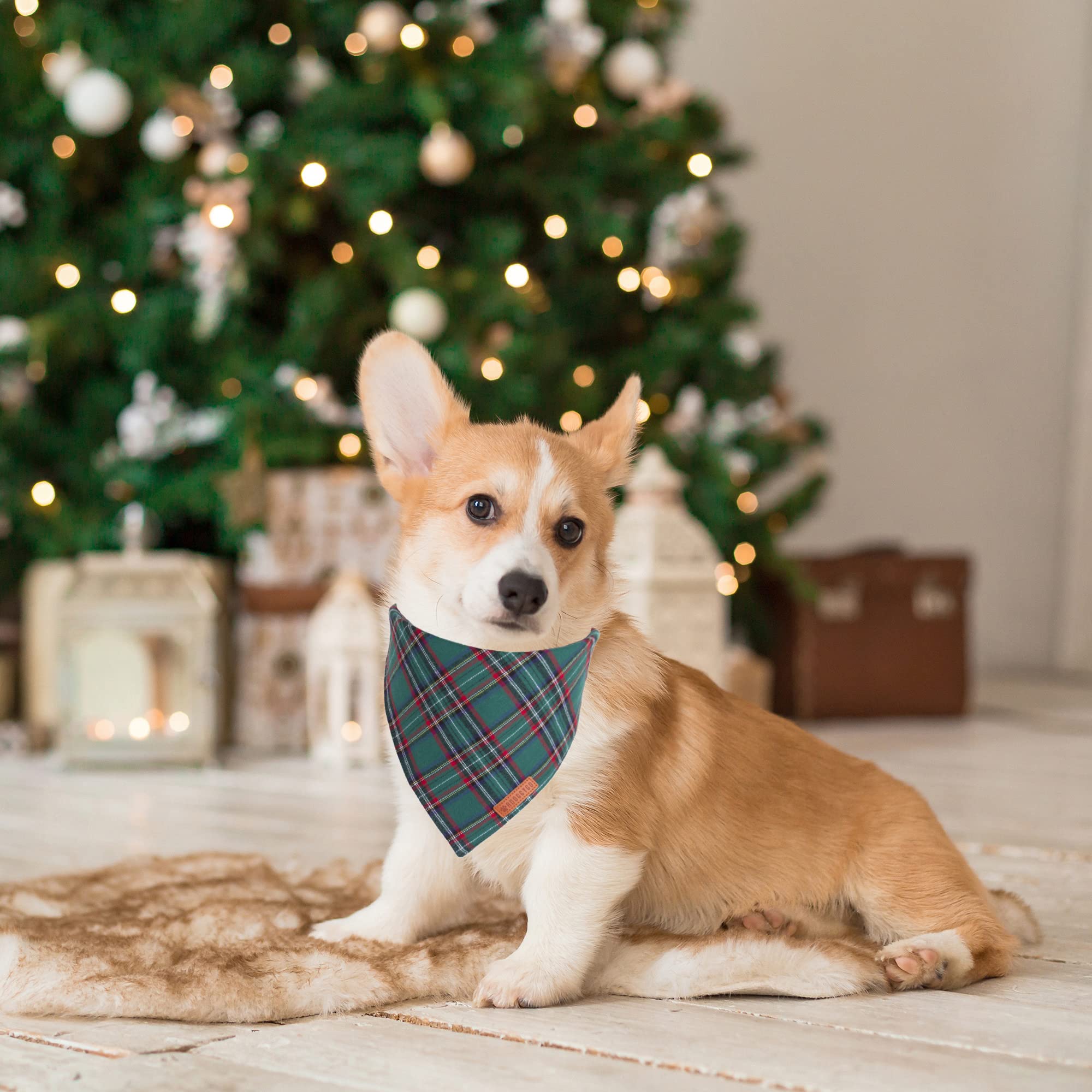 ADOGGYGO premium cotton dog bandana closeup stitching highlights durability