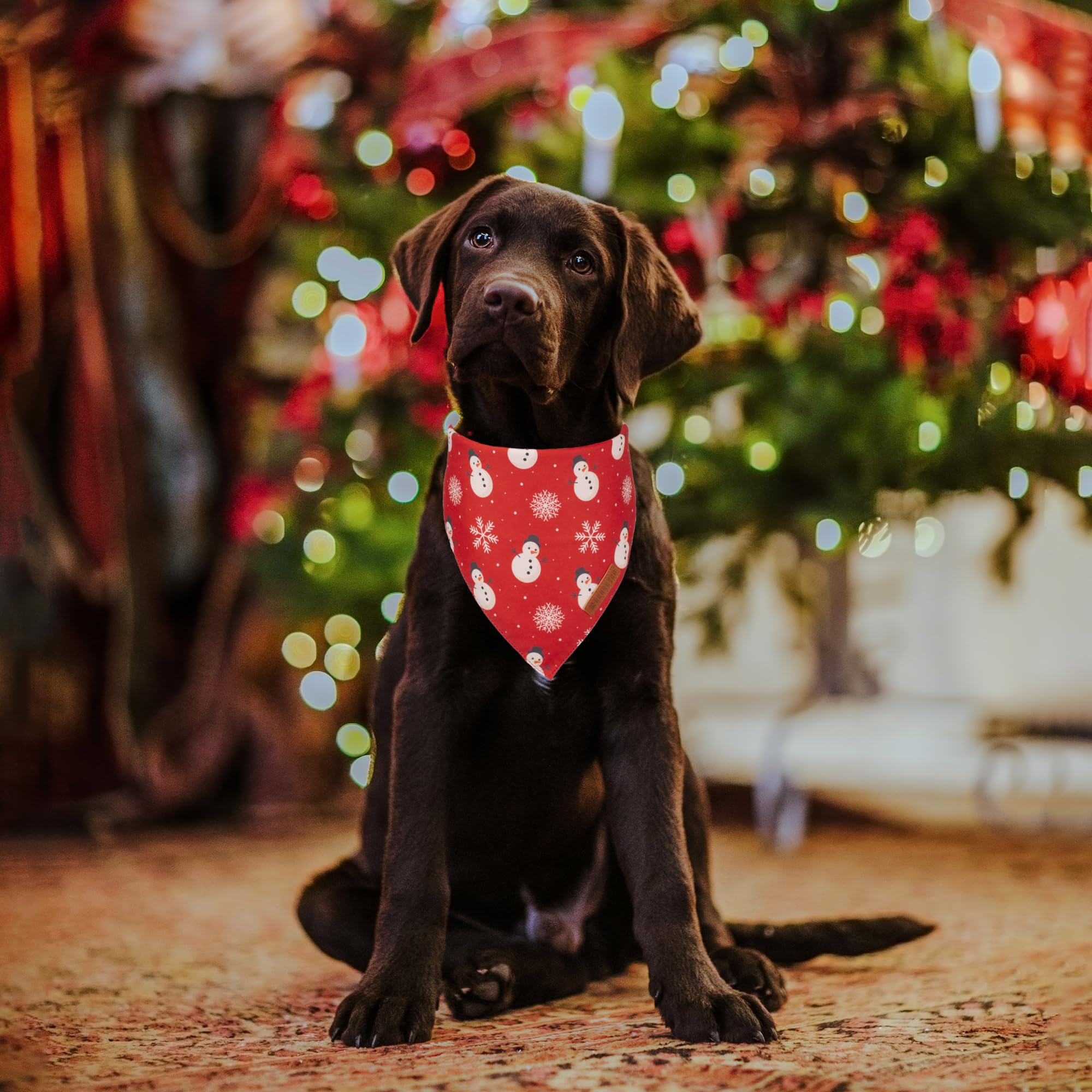 ADOGGYGO premium fabric dog bandana close-up showing soft texture for all-day comfort.