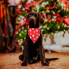 ADOGGYGO premium fabric dog bandana close-up showing soft texture for all-day comfort.