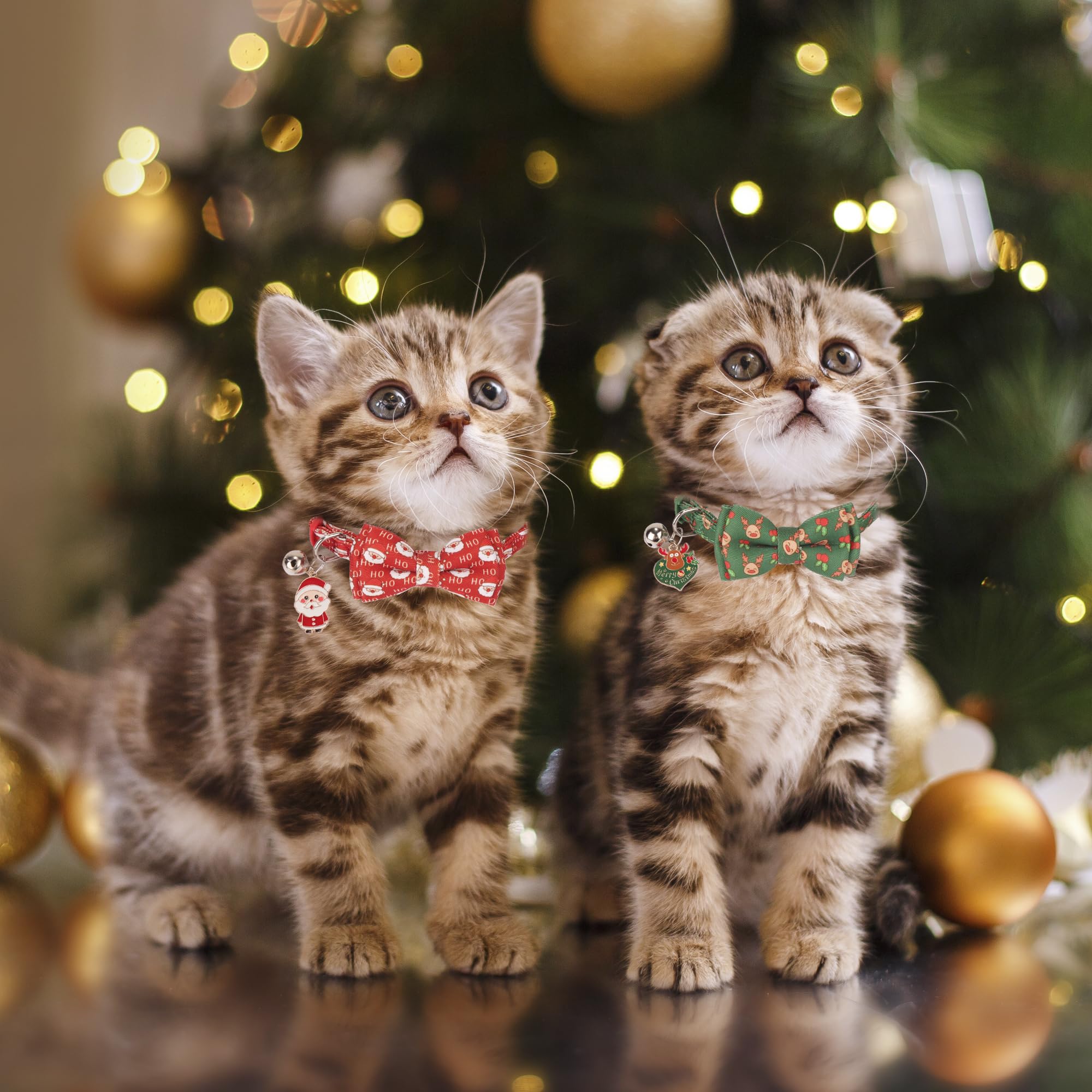 ADOGGYGO removable bow tie and bell collar, easy switch for playful or formal looks.