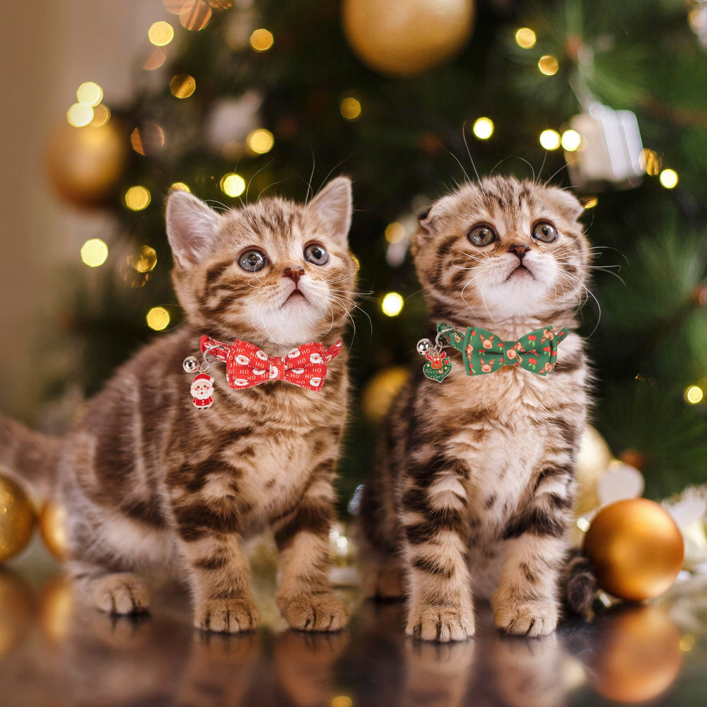 ADOGGYGO removable bow tie and bell collar, easy switch for playful or formal looks.