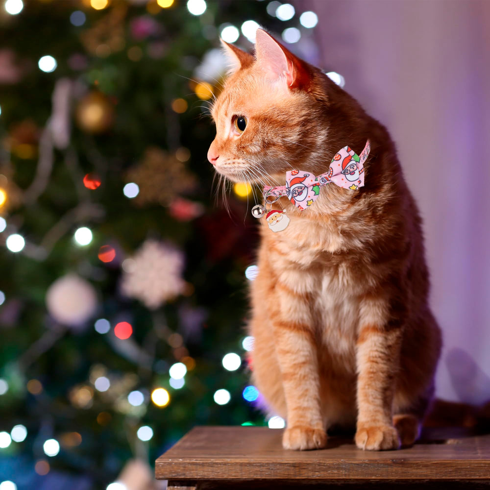 ADOGGYGO removable bowtie bell collar enables quick styling and easy ID.