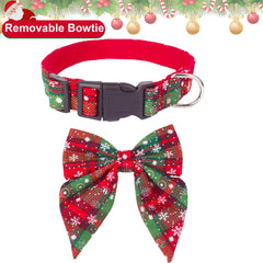 ADOGGYGO safety buckle and D-ring collar for secure tagging and leash use