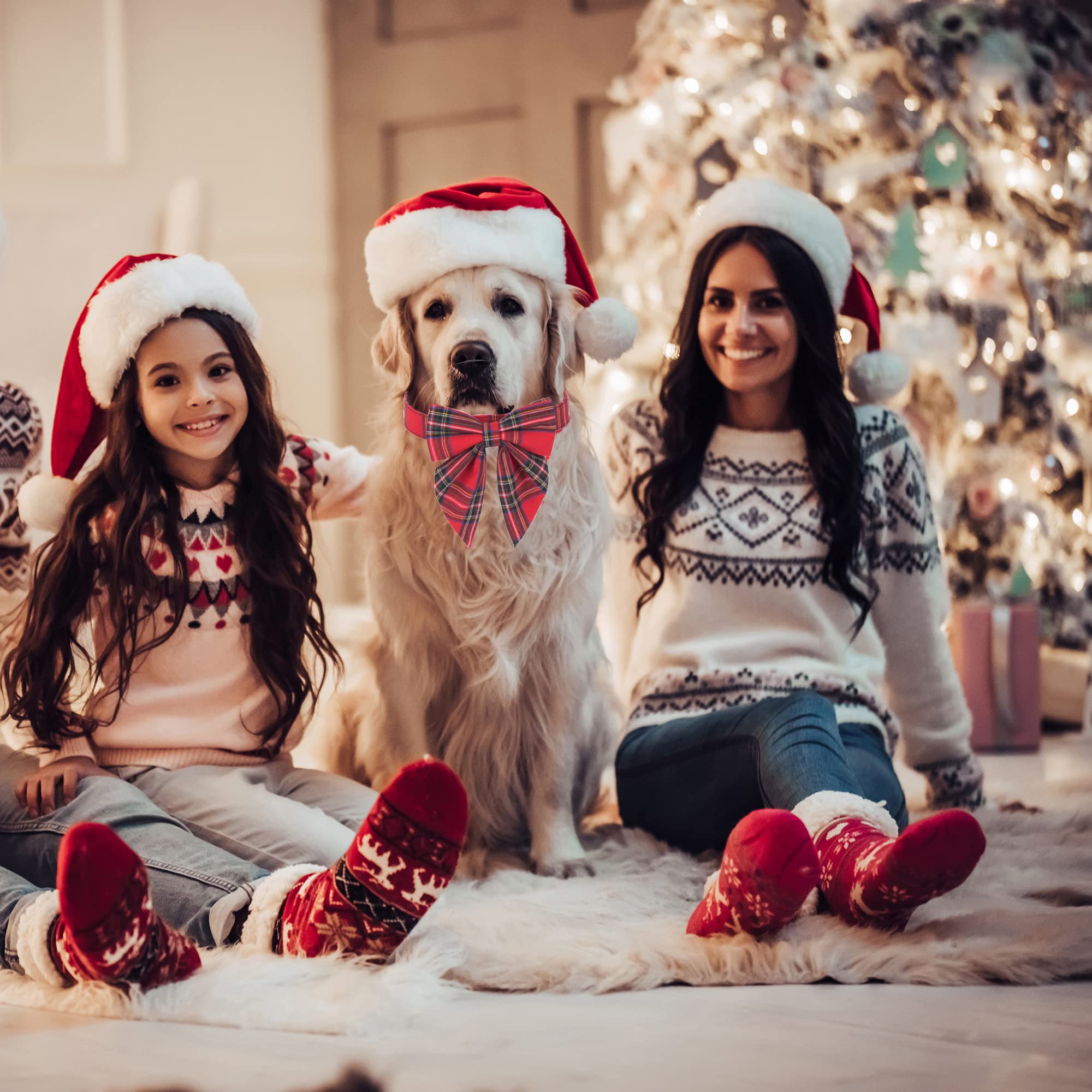 ADOGGYGO soft cotton material provides comfort for all-day wear