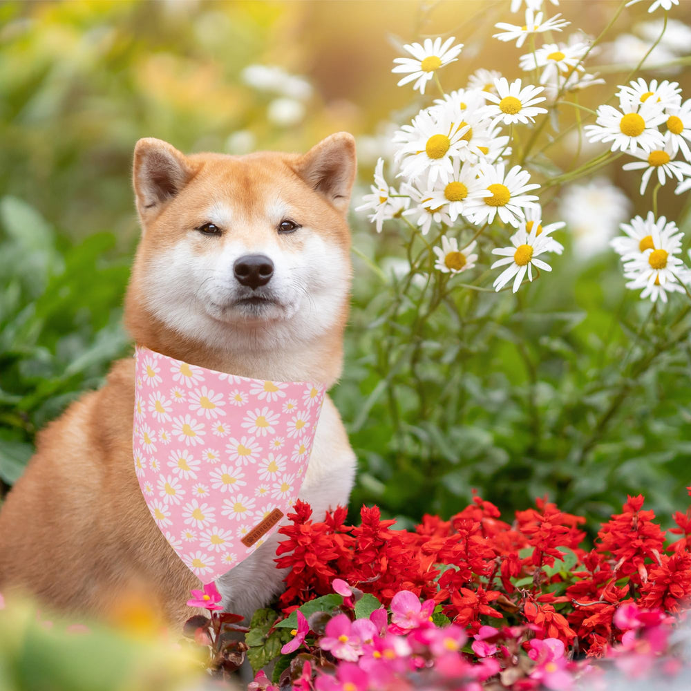 ADOGGYGO soft polyester double-layer bandana for durable daily wear.