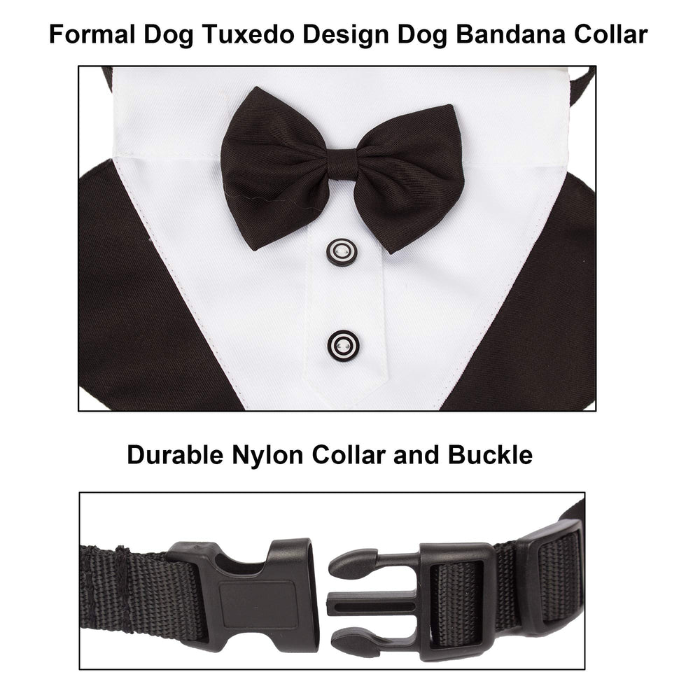 ADOGGYGO three-size options fit small to large dogs for flexible fashion.