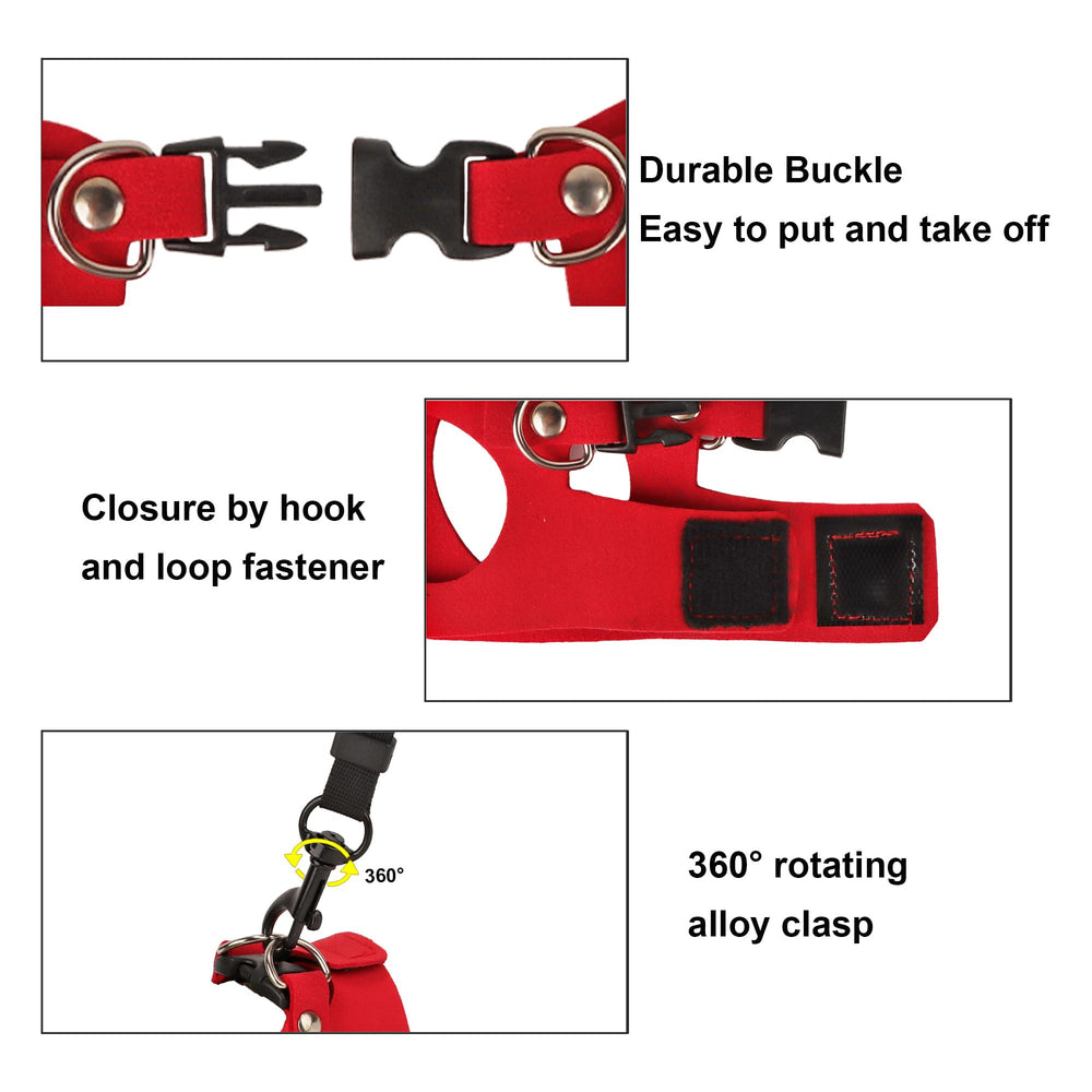 ADOGGYGO three-size-pack red harness helps growing beardies fit securely.
