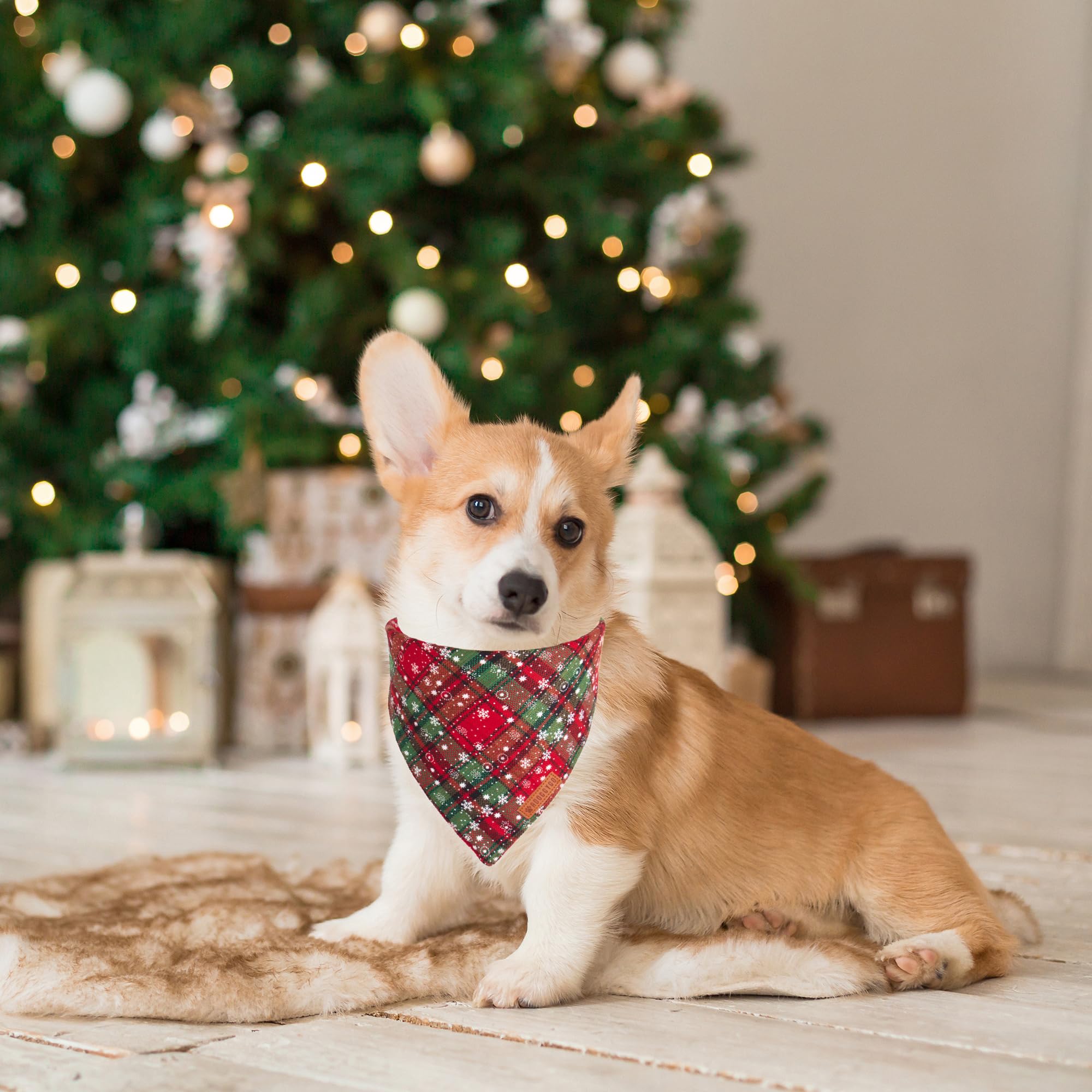 ADOGGYGO two-pack Christmas bandanas demonstrates versatile seasonal styling for pets.