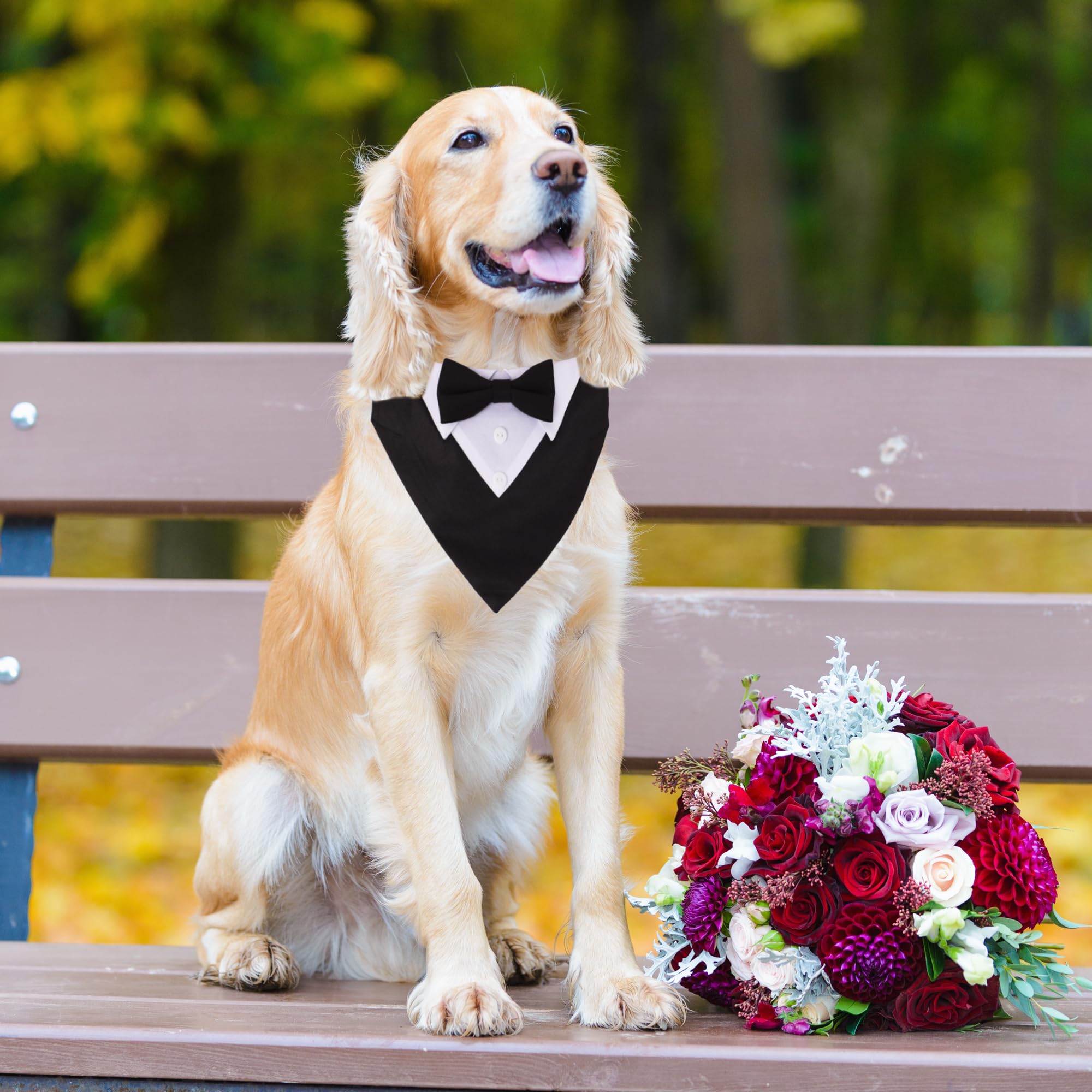 ADOGGYGO wedding dog collar bandana in black for a sophisticated event look
