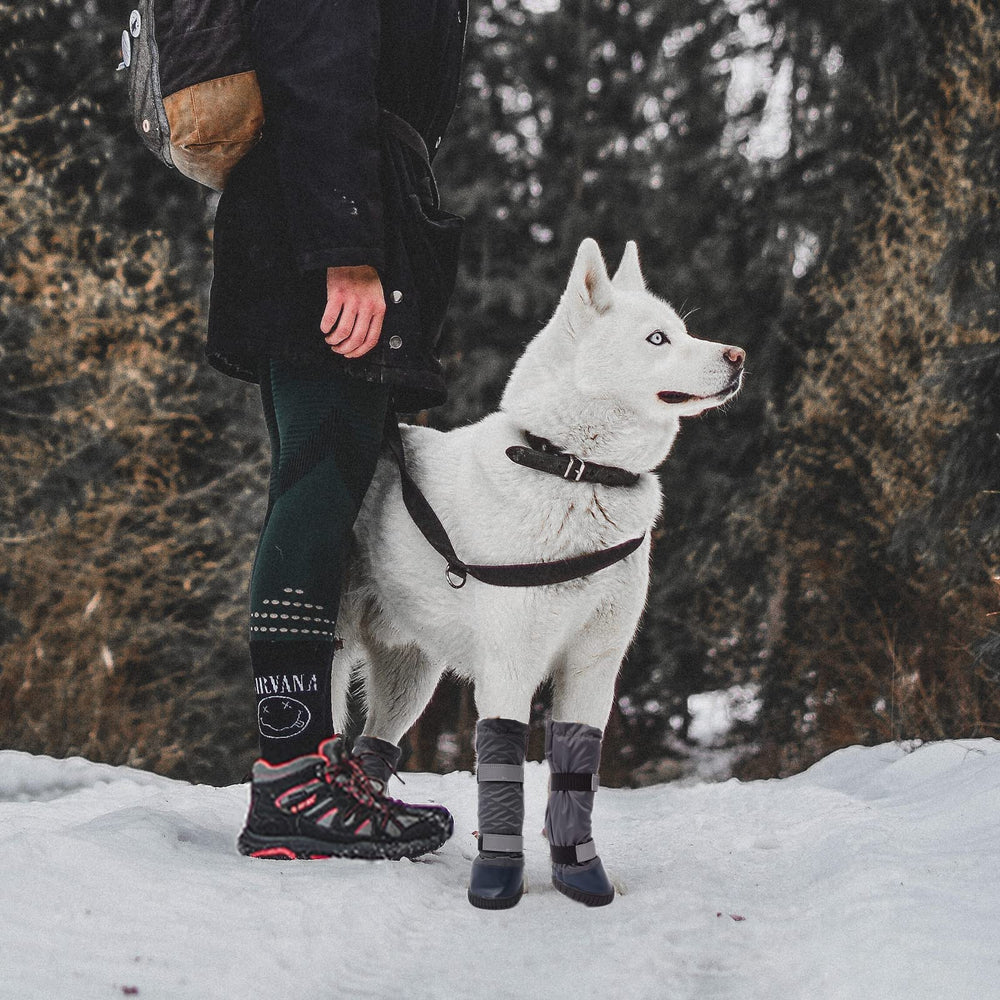 Adorepaw dog rain boots cleaning and care after outdoor use