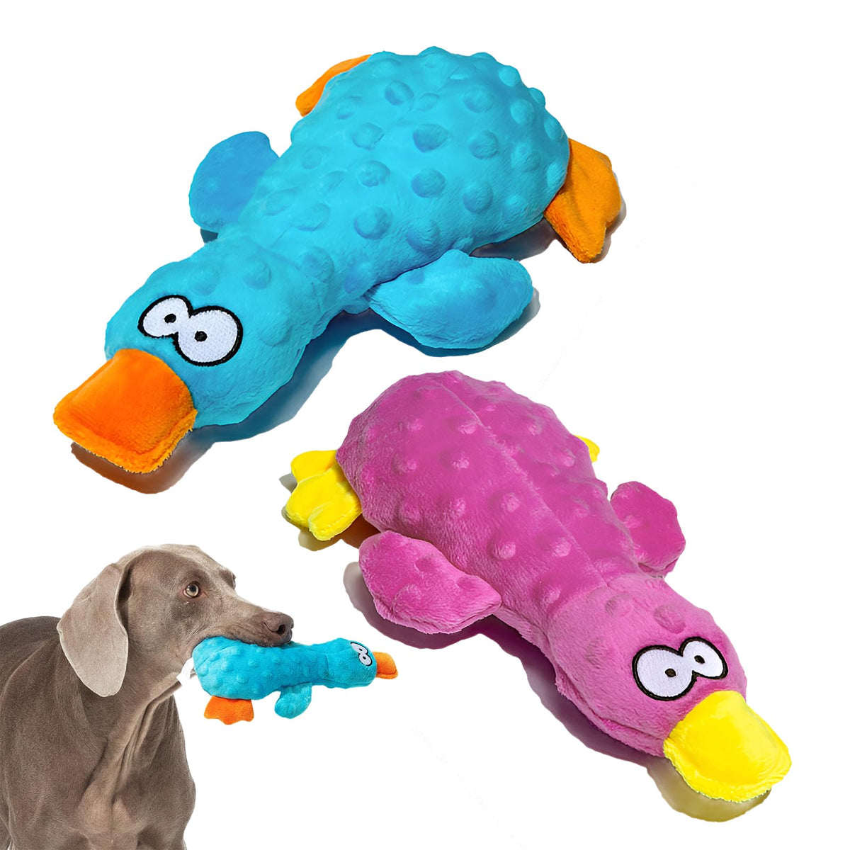 Adpartner plush squeaky duck front view invites interactive play and curiosity