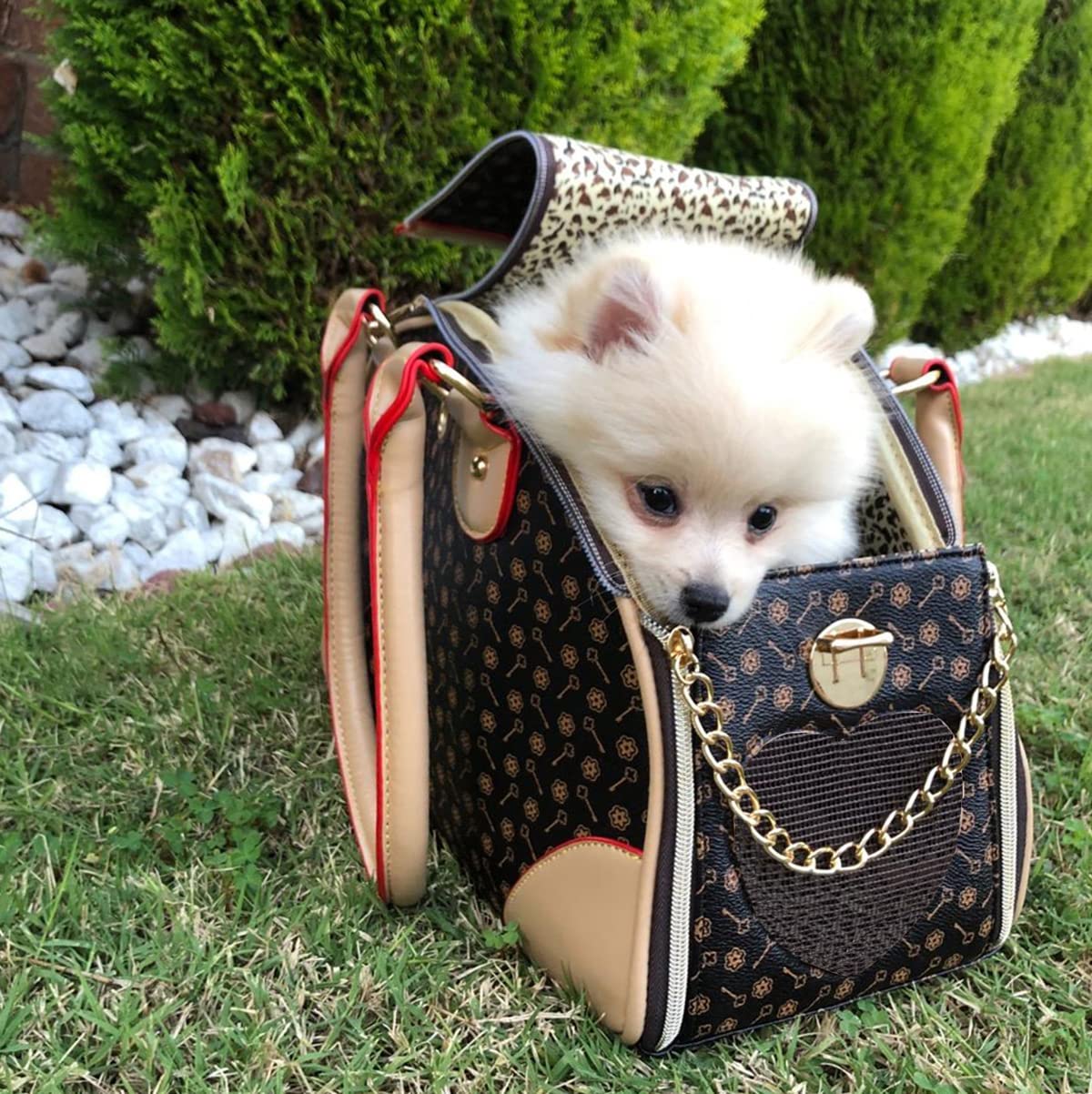 Adriene's Choice pet carrier interior with soft padding offers cozy resting for small pets.