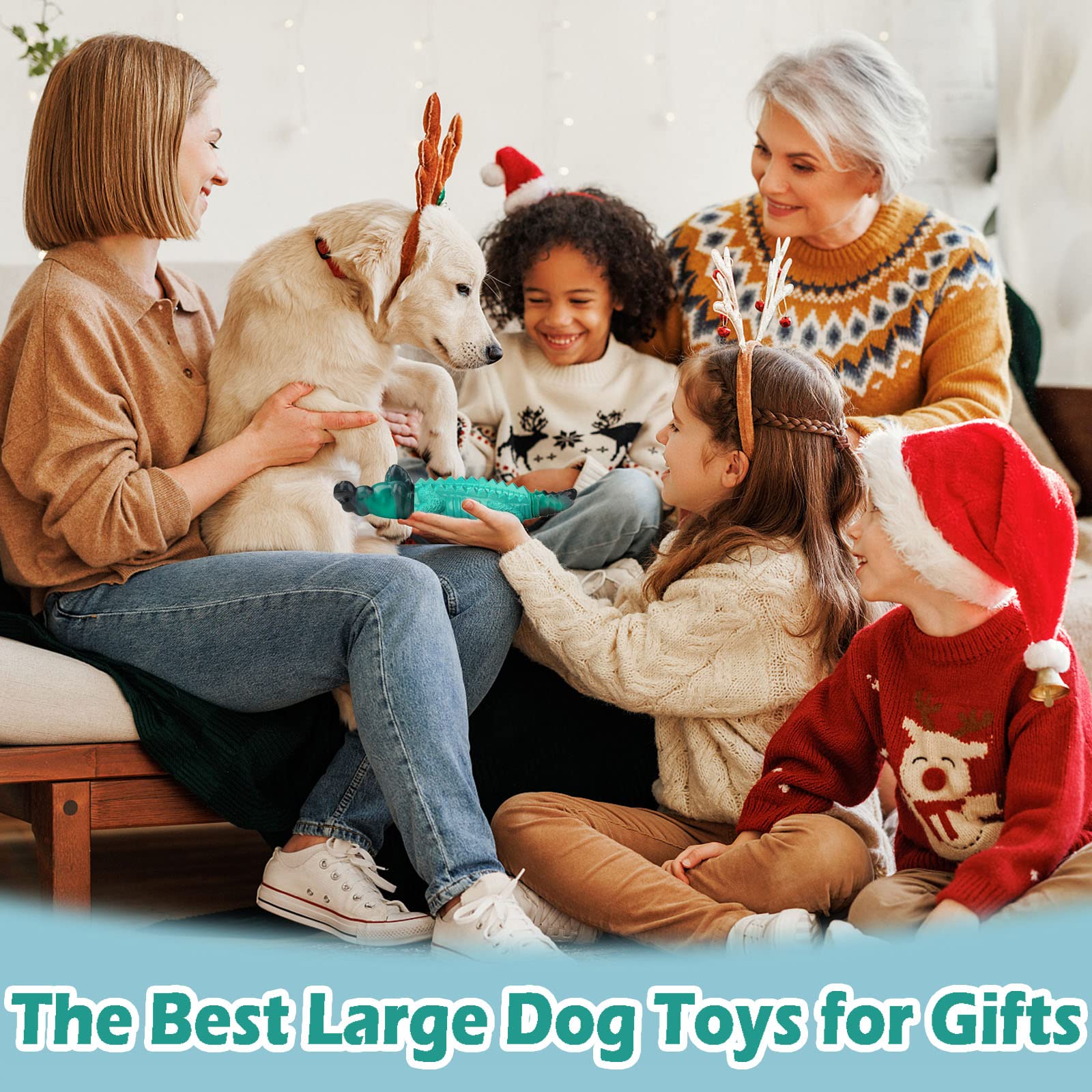 ADSDIA heavy-duty dog toy designed to withstand aggressive chewing.