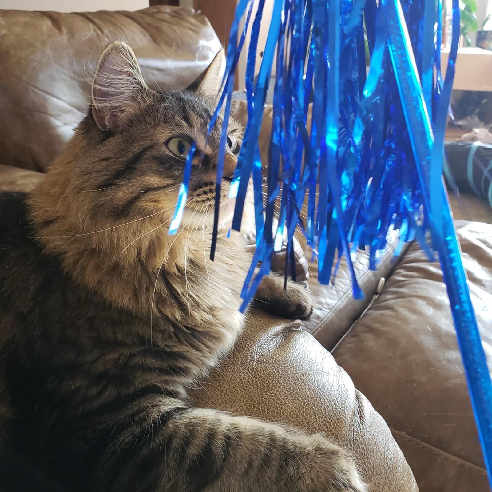 ADUCK cat teaser wand with assorted color options for varied play.