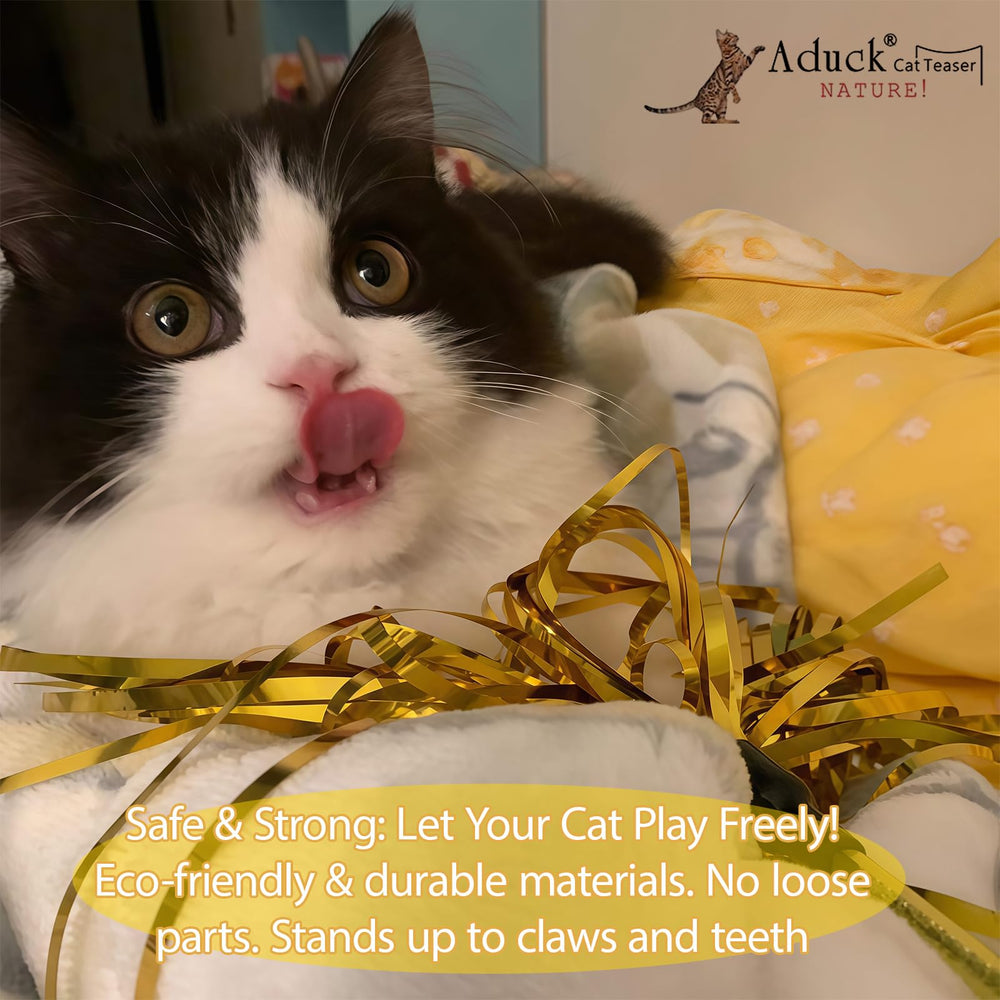 ADUCK cat teaser wand helps encourage healthy activity and physical movement.