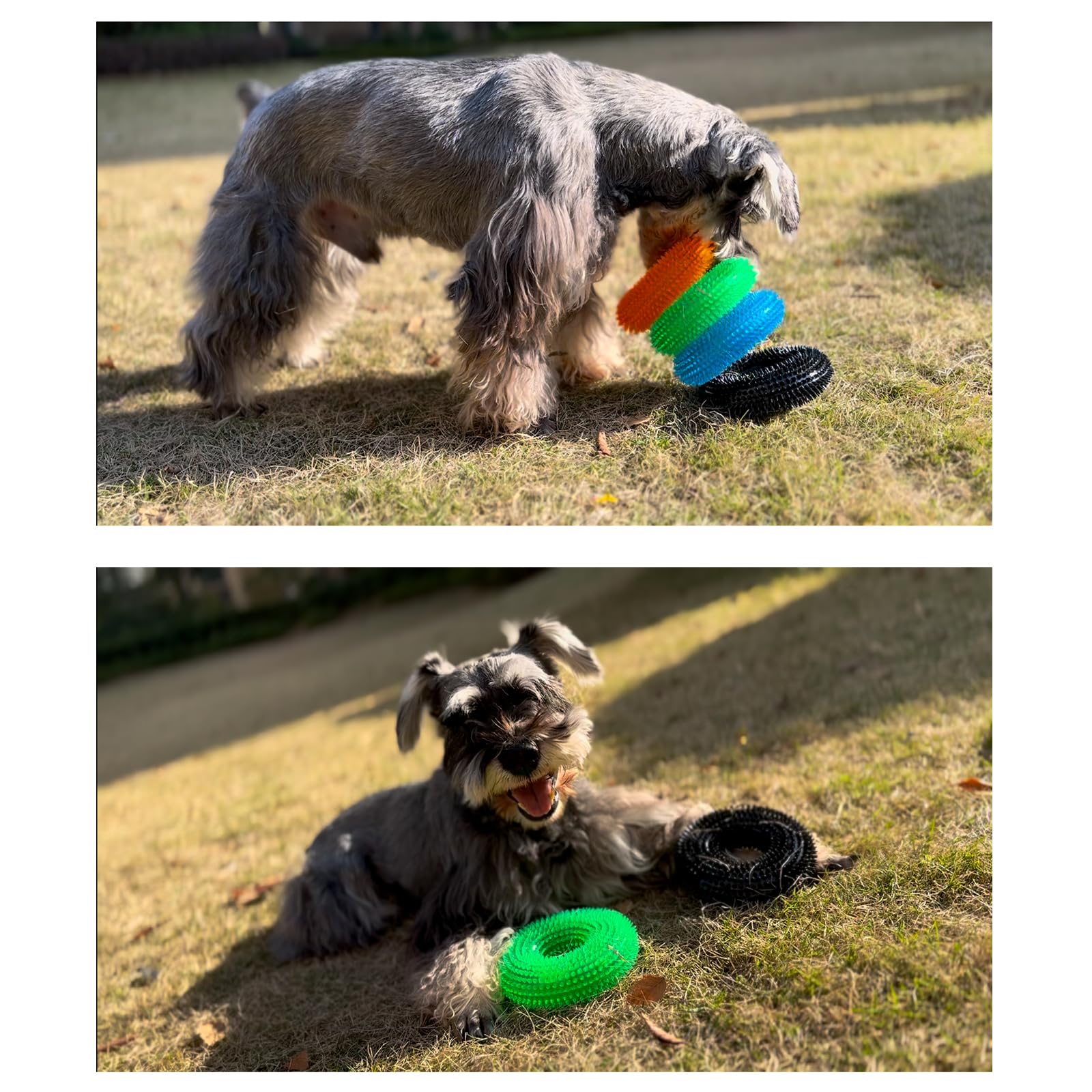 ADUCK donut ring toy in blue green orange black colors visible