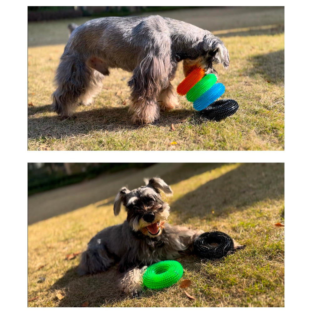 ADUCK donut ring toy in blue green orange black colors visible