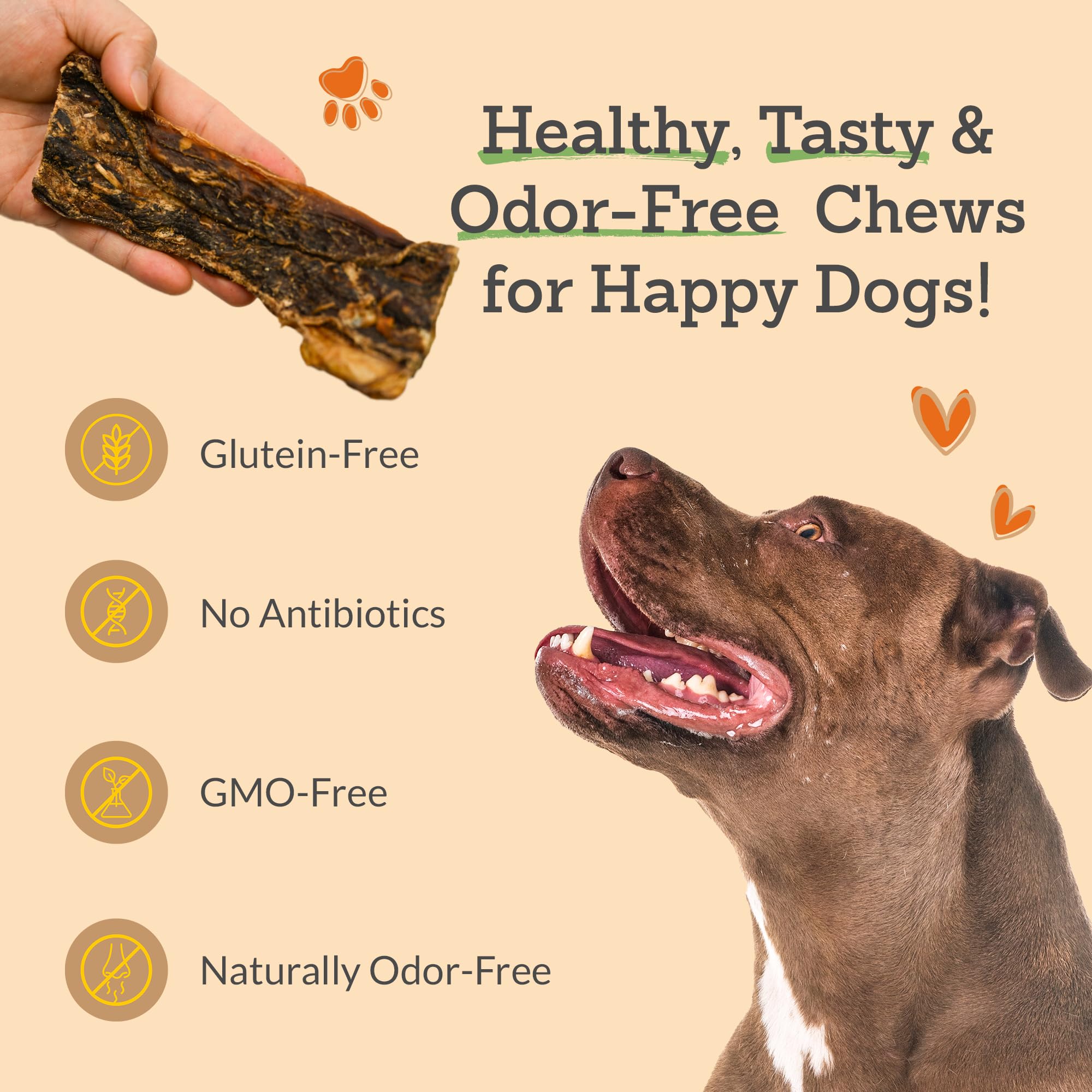Advance Pet Products Gullet Flat Jerky texture may support dental care during chews