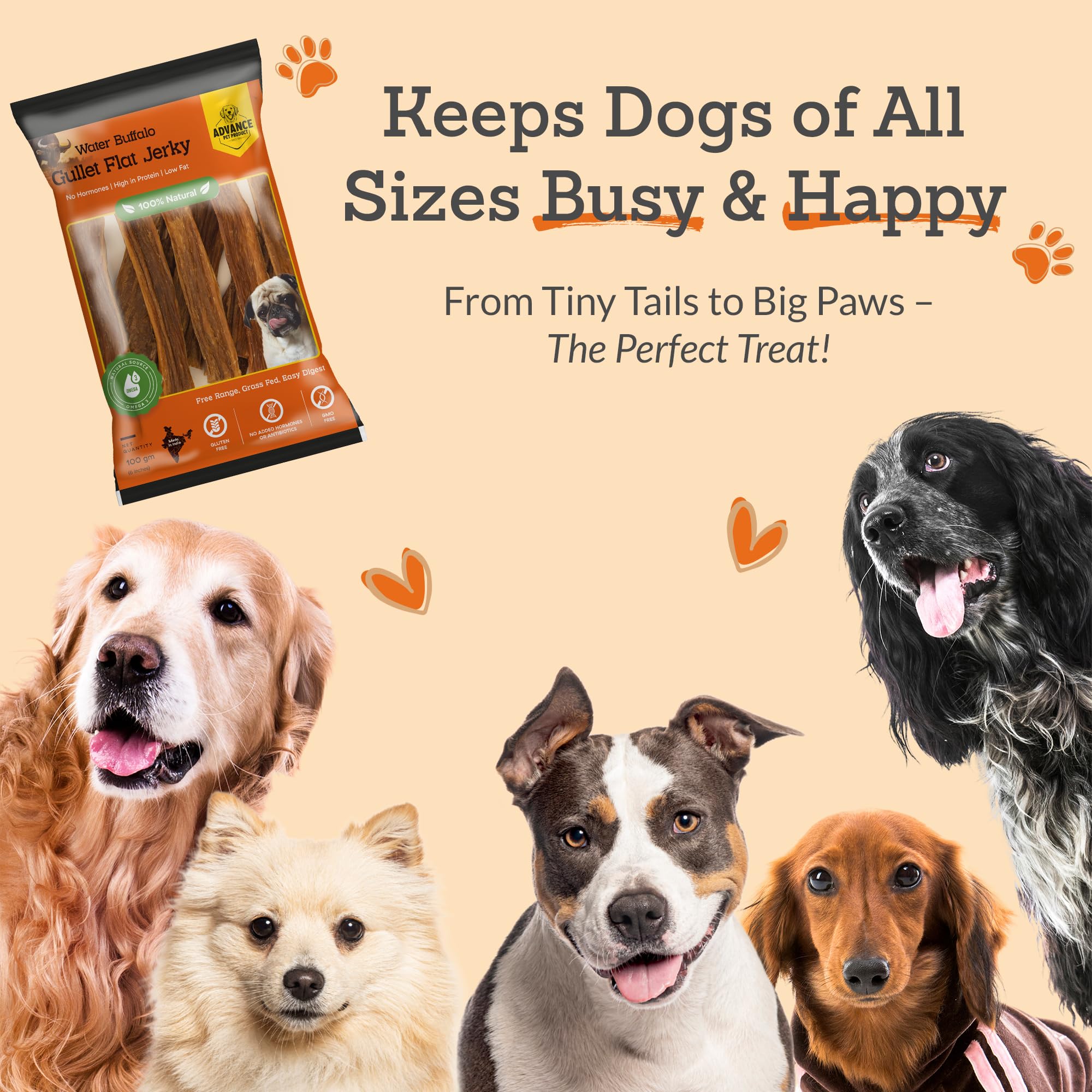 Advance Pet Products Gullet Flat Jerky 30-piece pack shown for training rewards