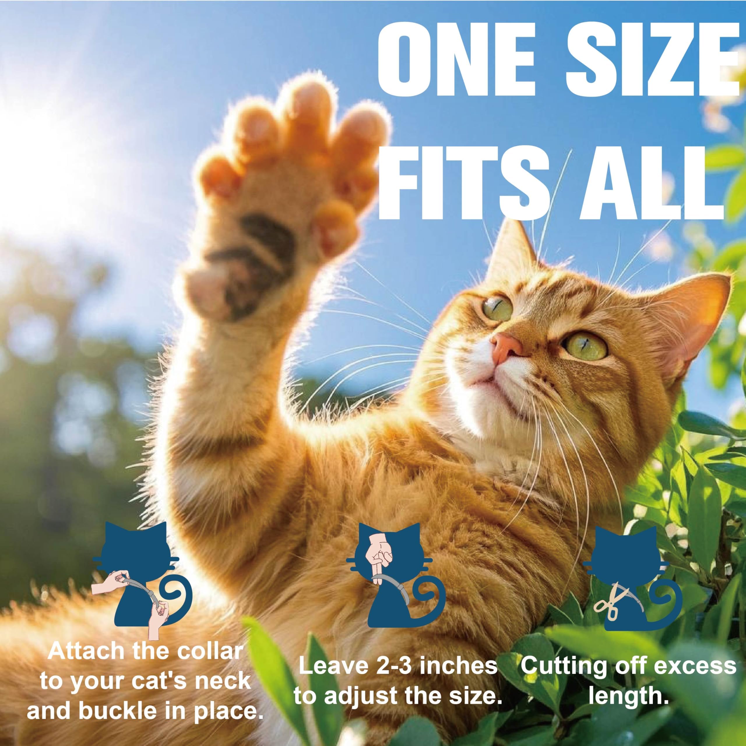 Advanllent flea collar kitten use picture shows suitability for kittens.
