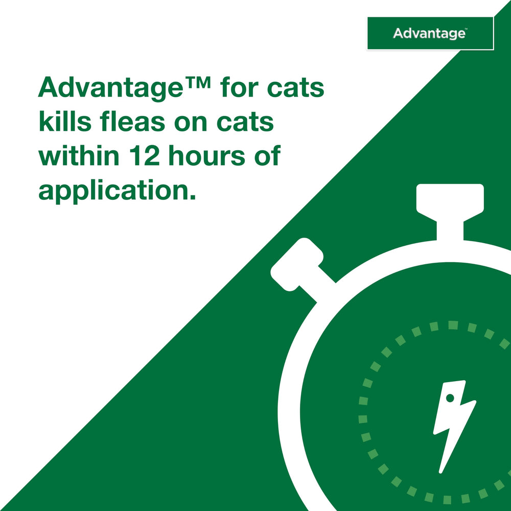 Advantage 30-day protection label conveys month-long flea prevention for busy households.