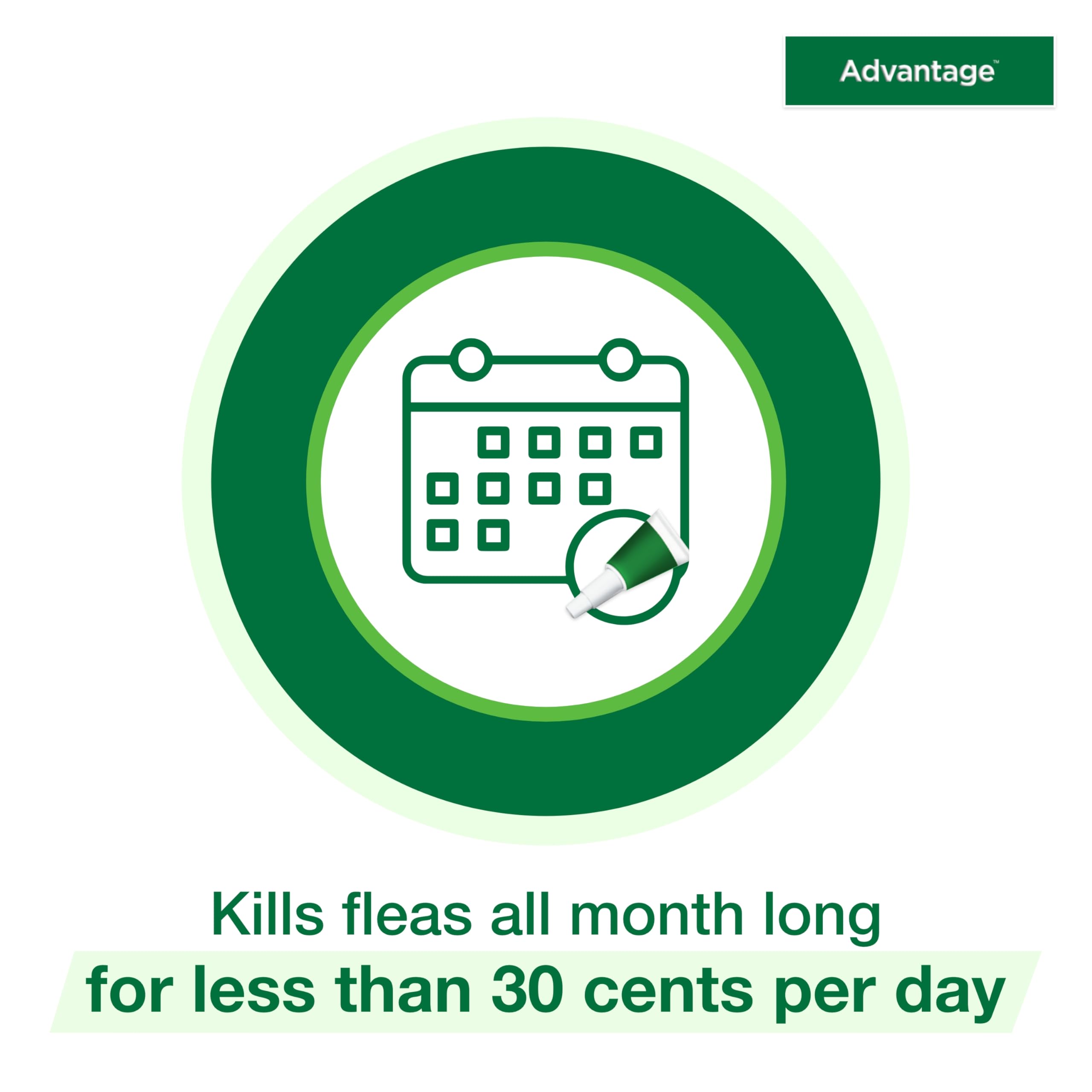 Advantage flea-kill within 12 hours claim shown after application.